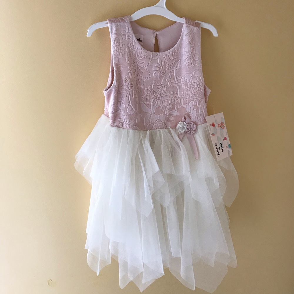 BNWT 18mo Dress with floral velvet and tulle